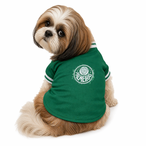 Camisa 1.png