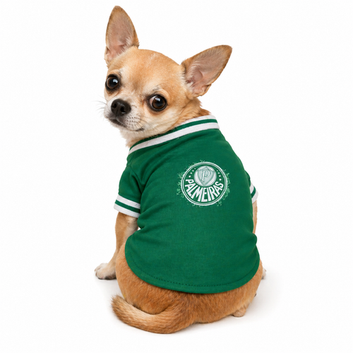 Chihuahua Palmeiras.png