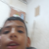 temp.png