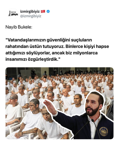 3c24503935ff.jpg