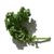 KALE.jpg