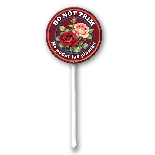TT10.png
