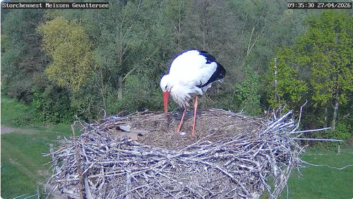 MWSnap122.jpg