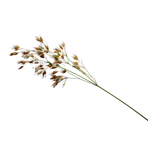 189c7e4f3647.png
