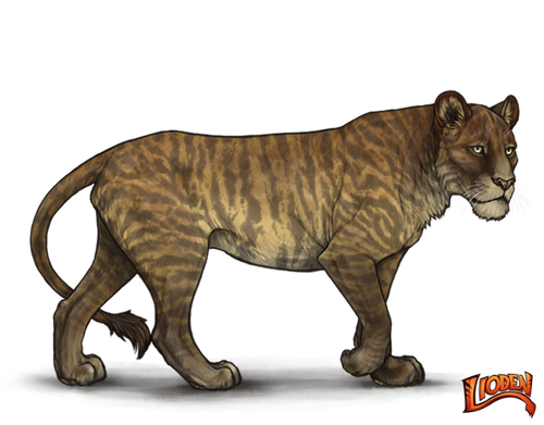 lioden wardrobe (3).png