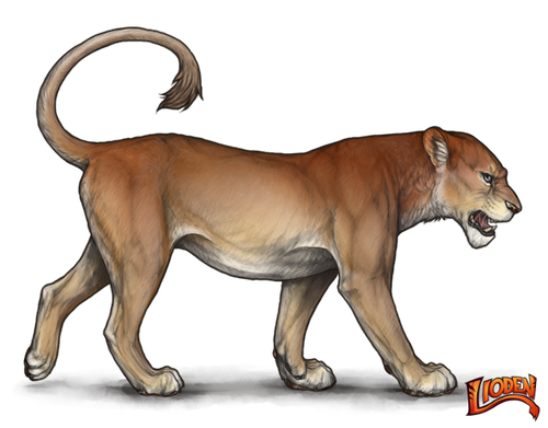 lioden wardrobe (4).png