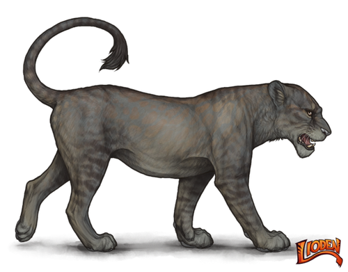 lioden wardrobe (6).png