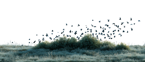 d5a56d1cd34c.png