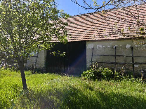 496.jpg