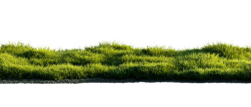 324c506bba41.png
