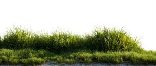 e34a768d572f.png