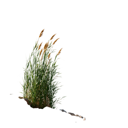 b234a787d6b7.png