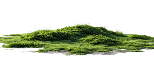 4b0078072b81.png