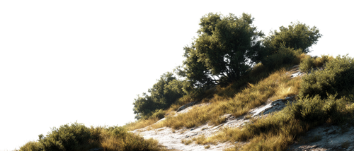 98a490c593c0.png