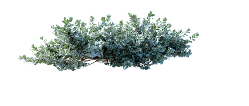 8b76a034412c.png