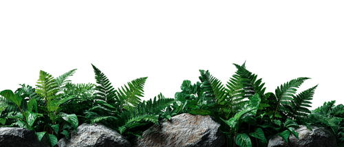 52353fa295f5.png