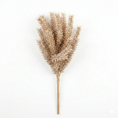 b6554b12 9913 469e b9cb ce3288ed78ae.jpg