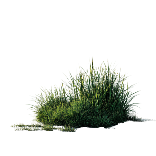 d79e4f313ccb.png