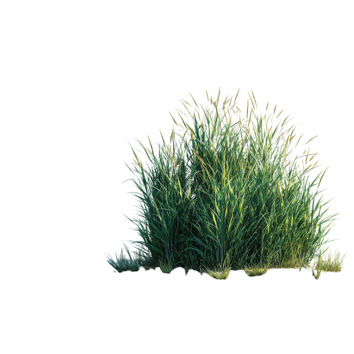 a705802acfc4.png