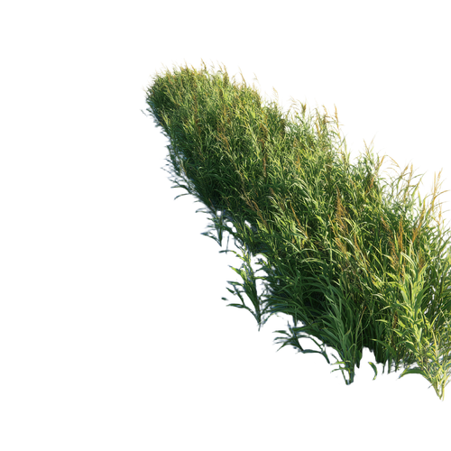 5d1763fdd67d.png