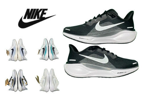 219Nike Pegasus 41.jpg