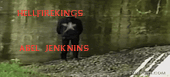 8.gif