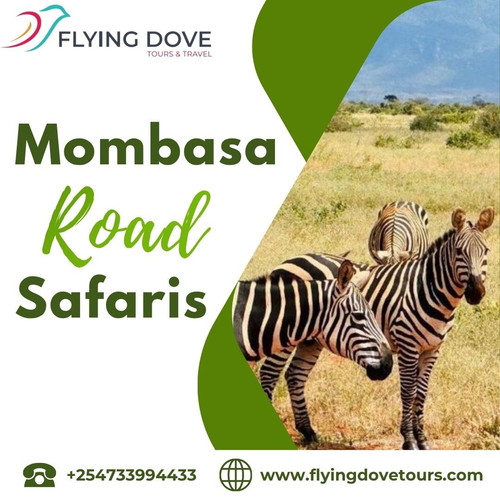 Mombasa Road Safaris.jpg