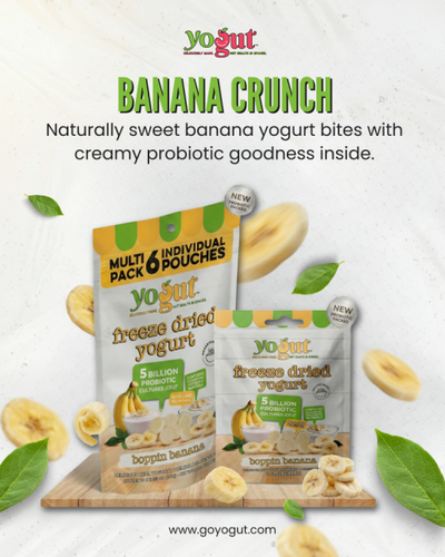 Freeze Dried Banana Yogurt Bites.png