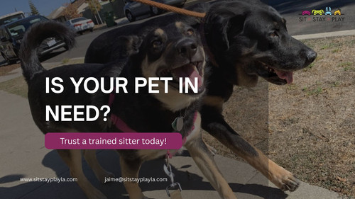 Pet deserves the best care from a trained sitter.jpg