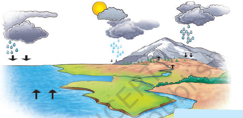 Screenshot 2026 04 27 120212.png