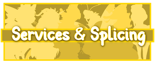 advice and resources services.png