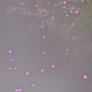 Untitled416 20260504113101.png