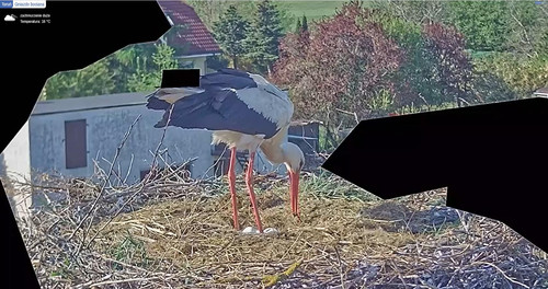MWSnap136.jpg