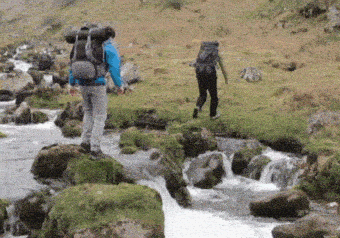 BQ56FVt.gif