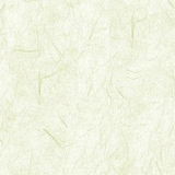 Screenshot 2026 0505 171438.png