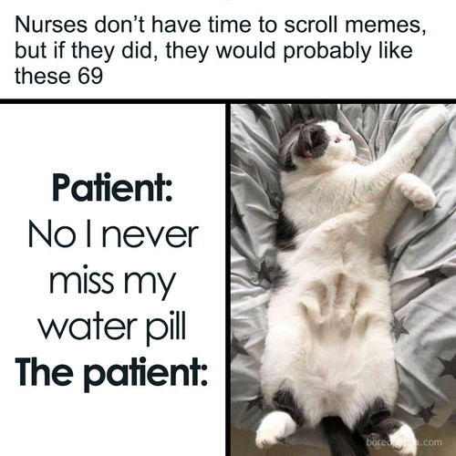 funny memes (2).jpg