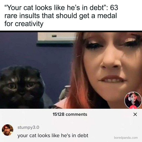 rare insults posts.jpg