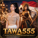 tawa555
