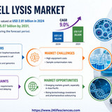 httpswww.24lifesciences.com (74)