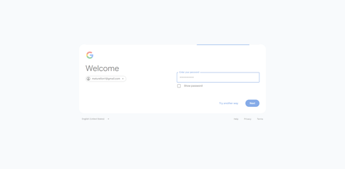 2026 05 05T15 31 18 332Z GOOGLE password entered.png