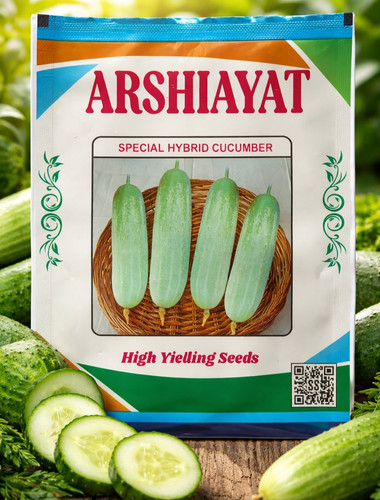 WhatsApp Image 2026 04 16 at 6.08.04 PM.jpg