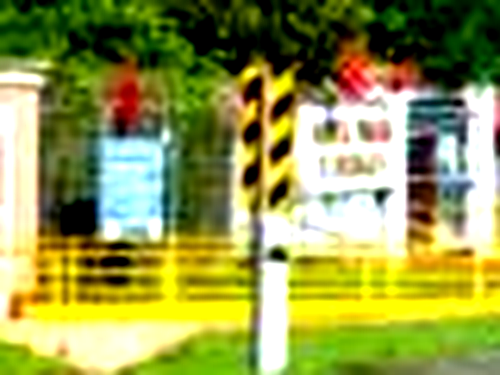 s1.png