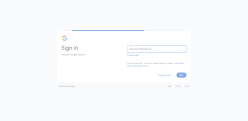 2026 05 05T15 31 15 031Z GOOGLE email entered password.png