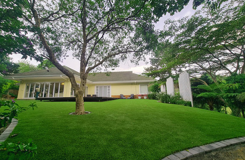 residential pets Graden3 740x485 1.jpg