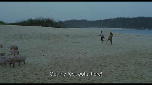 你妈妈也一样.And.Your.Mother.Too.2001.Criterion.Collection.BluRay.1080p.x265.10bit.DTS HD.MA.5.1 UBits ENG.jpg
