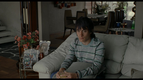 你妈妈也一样.And.Your.Mother.Too.2001.Criterion.Collection.BluRay.1080p.x265.10bit.DTS HD.MA.5.1 UBits 000.jpg
