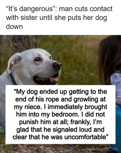 dog put down growled kid.jpg
