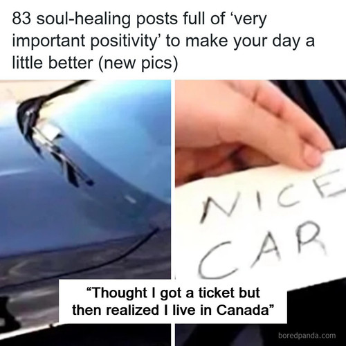 wholesome posts.jpg