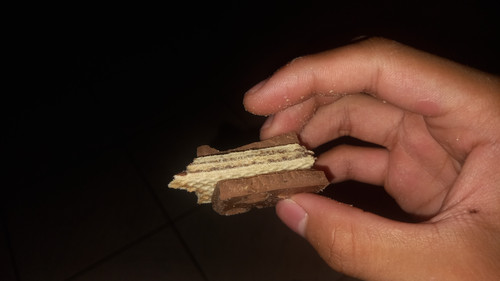 20260505 124103.jpg