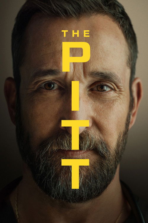 the pitt s2.jpg